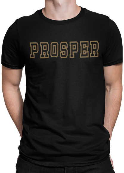 The PROSPER in all things cotton tee.