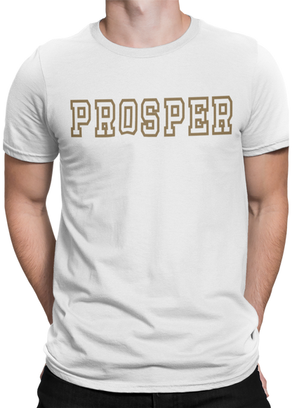The PROSPER in all things cotton tee.